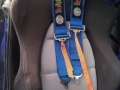 Harness
