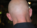 IMG_8335_1.1